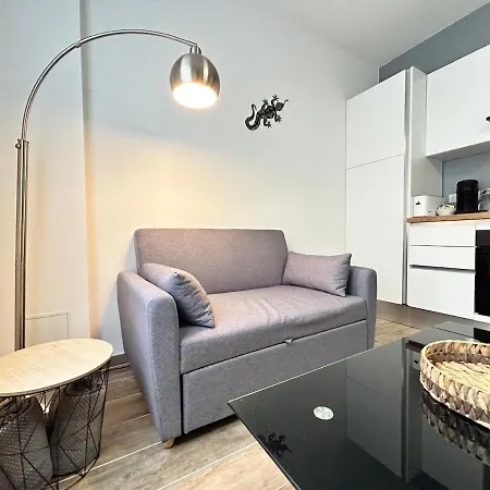 Chamonix Magnifique Duplex Avec Terrasse Au Centre * Reims